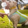 Swamp Cooler Zip™ Cooling Dog Vest охлаждающий жилет 
