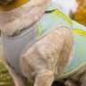 Swamp Cooler Zip™ Cooling Dog Vest охлаждающий жилет 