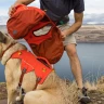 RUFFWEAR® Palisades Pack™ рюкзак для собак 