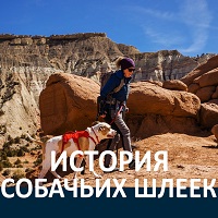Ruffwear® - история шлеек
