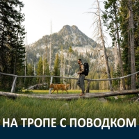 Ruffwear® - на тропе с поводком!