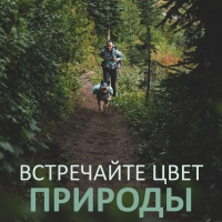 Ruffwear® - краски природы!
