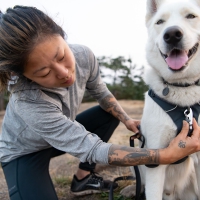 Ruffwear® - шлейки для приключений!