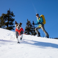 Ruffwear® - любимая одежда для любых условий!