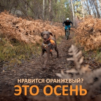 Ruffwear® - краски осени!