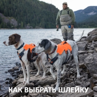 Ruffwear® - как выбрать шлейку