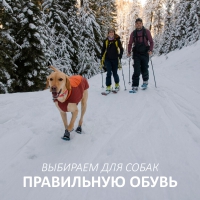 Ruffwear® - выбираем правильную обувь