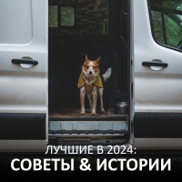 Ruffwear® - лучшие советы и истории 2024!
