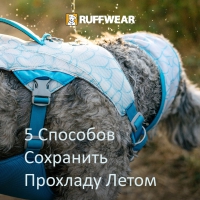 Ruffwear® - 5 способов сохранить прохладу!