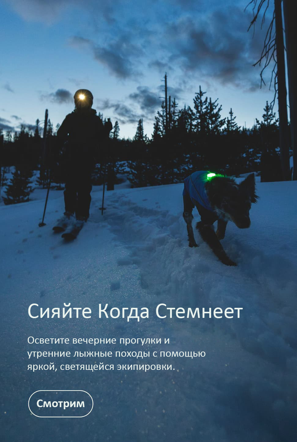A human and dog ski in the dark. Words read Stay Out After Sunset: Light up your adventures with high-visibility gear that shines for evening walks and early morning trail runs.