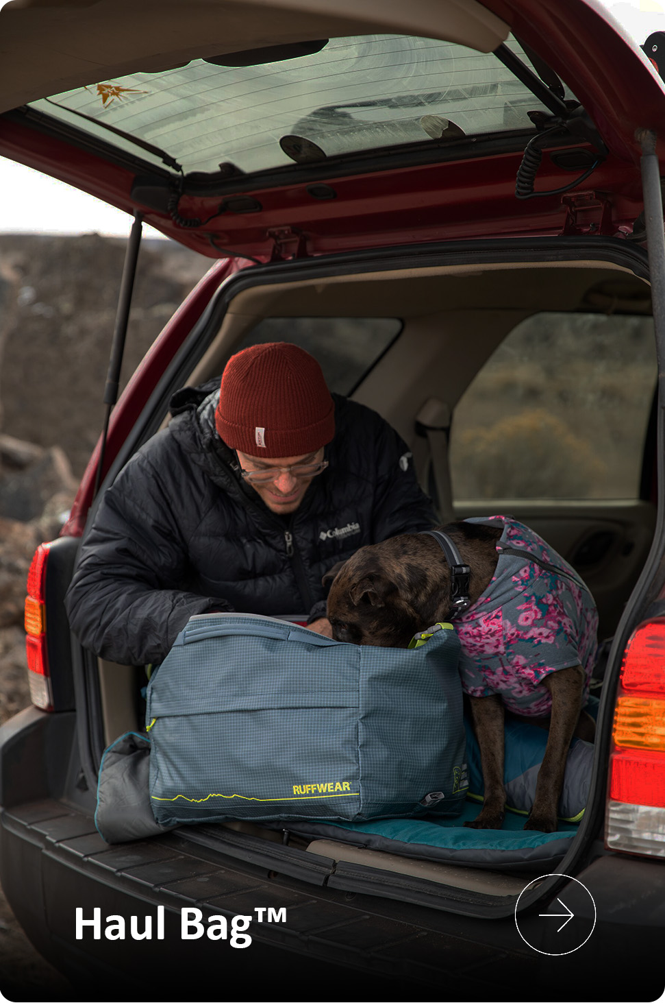 A dog sits on a Basecamp Bed as happy as a clam.
