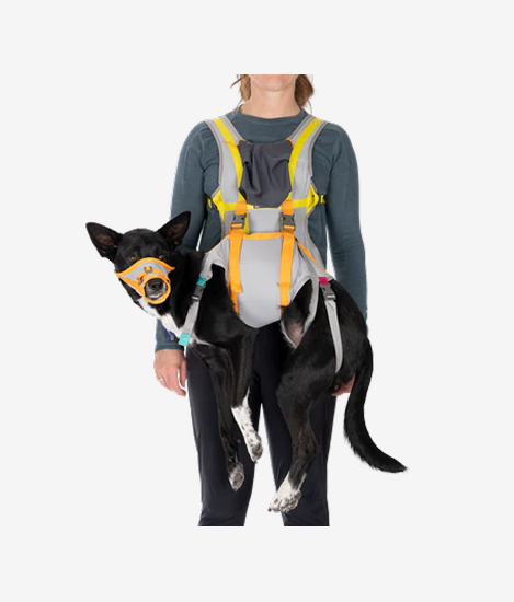 BackTrak™ Dog Evacuation Kit