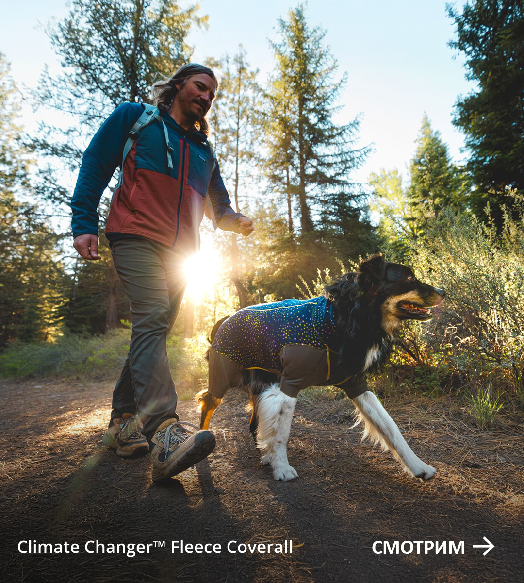 A human walks with his dog who's wearing a Climate Changer™ Fleece Coverall. Words read SHOP