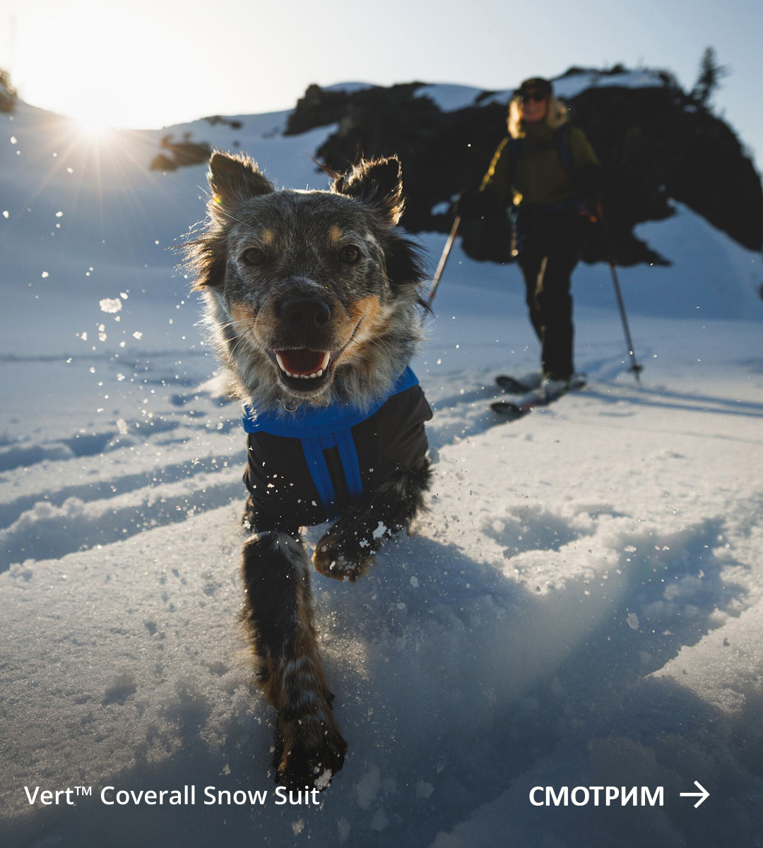 A dog runs at the camera wearing a Vert™ Coverall in the snow. Words read: SHOP