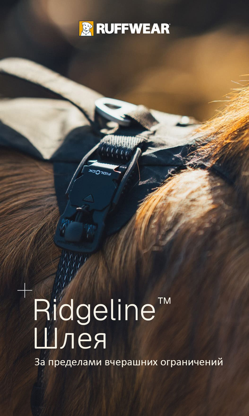 An up-close image of the Ridgeline™ Harness Fidlock Buckle