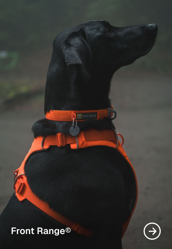Front Range® Harness