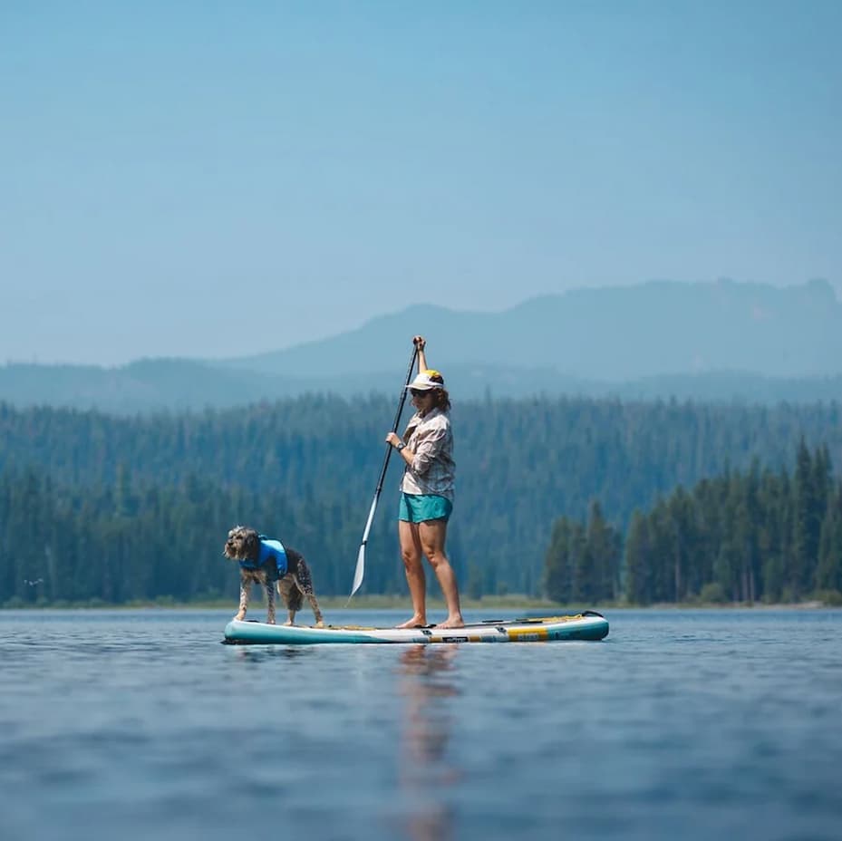 A human and dog Stand Up Paddleboard together on a blue lake.
