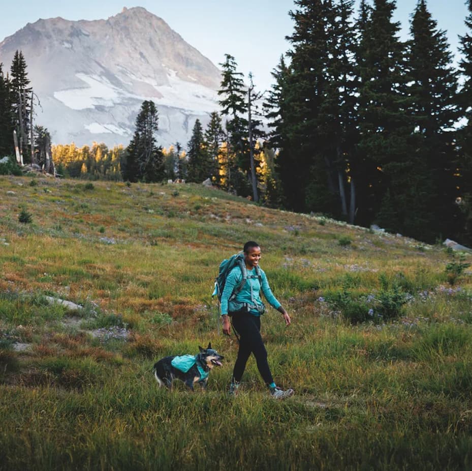 A human and dog walk together in the mountains.