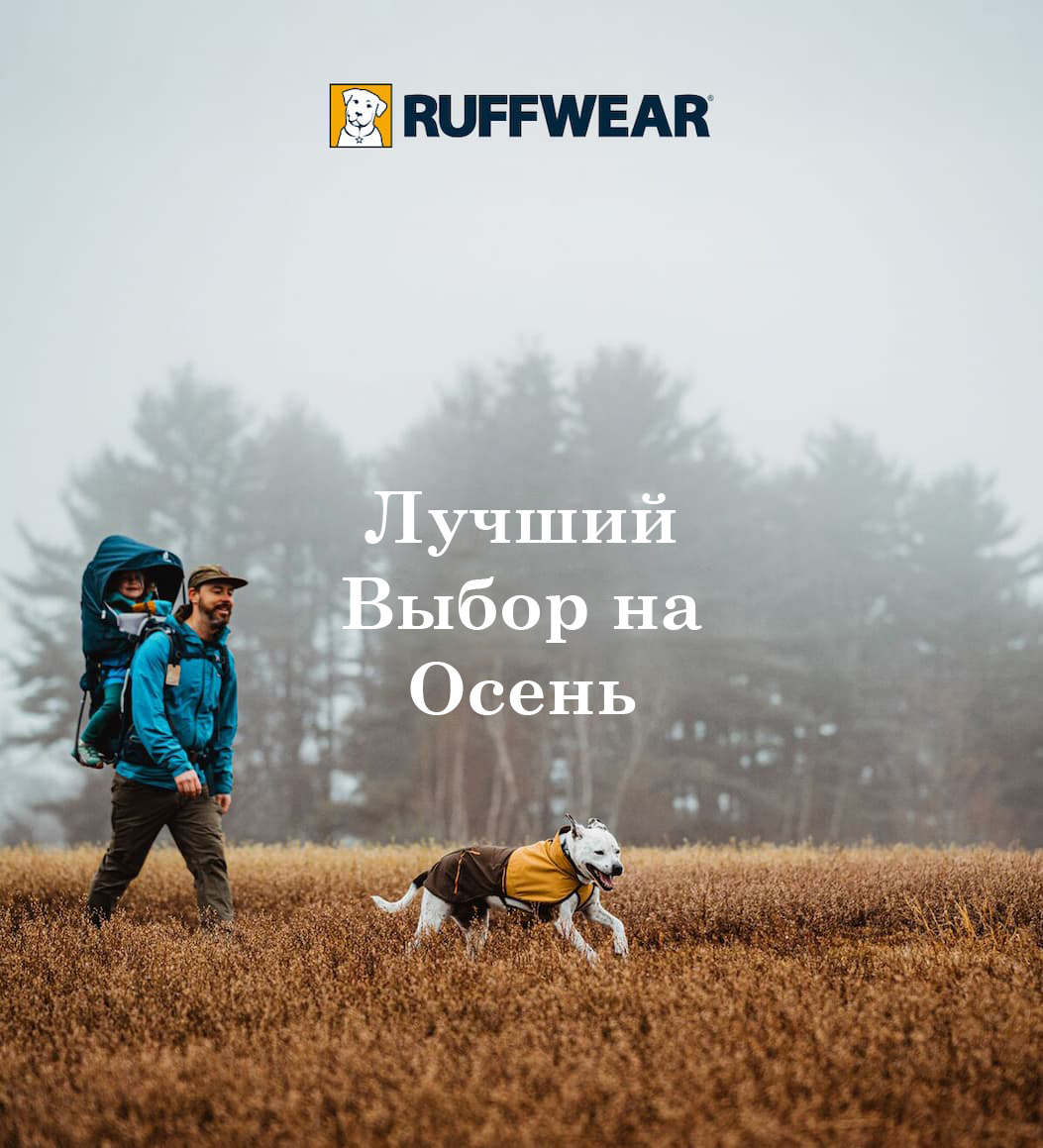 A human, child and dog go for a lovely fall walk. Words read: Top Picks For Fall.