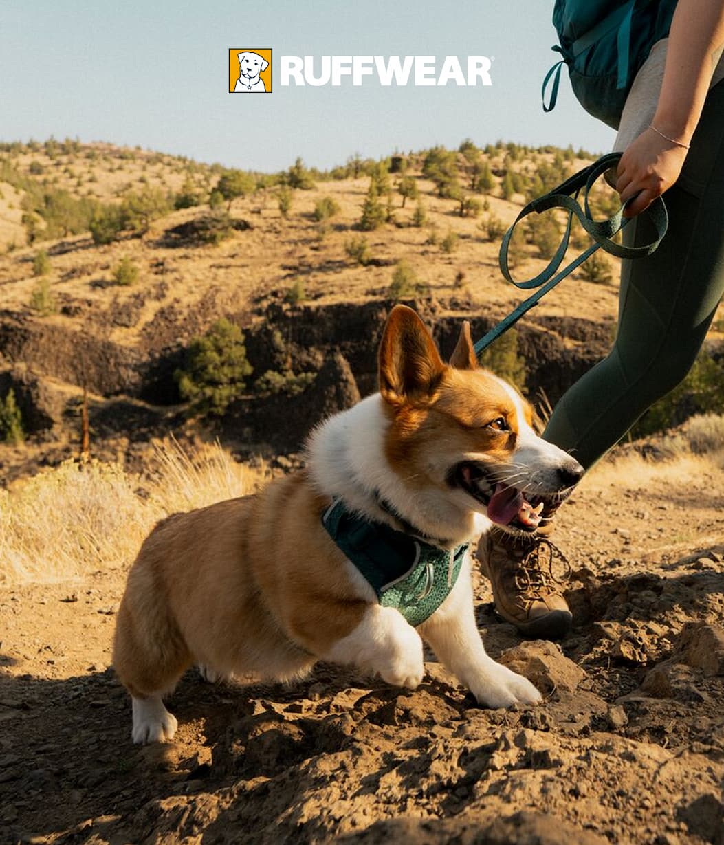 A dog climbs up a rock while their human holds their Front Range Flex Leash