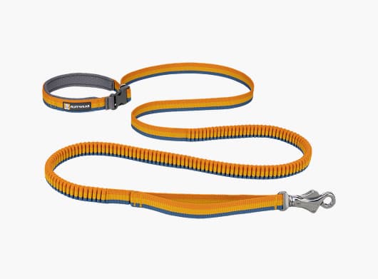 The Roamer Leash in Yellow Snow