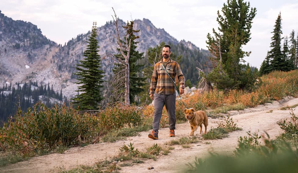 Humans and dogs walk together. One using a hands-free leash, the other a hand-held.