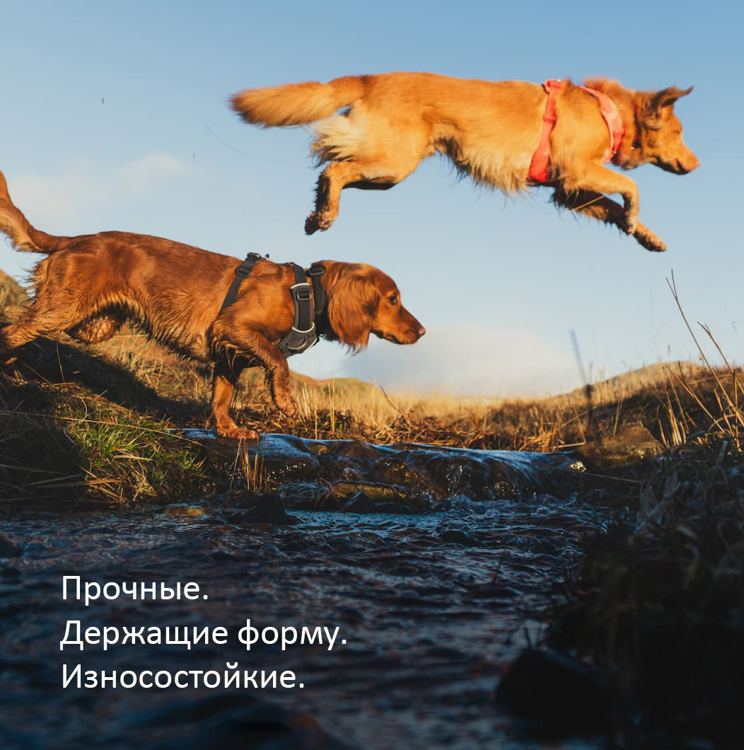 Two dogs jump over a stream in Front Range Harnesses. Words read: Extra durability.  Extra structure.  Extra abrasion resistance.