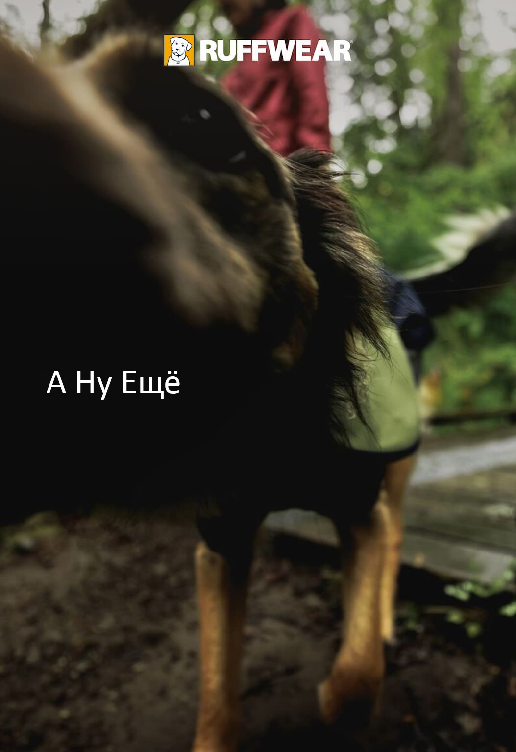 A dog sniffs the camera. Words read: Bring. It. On.