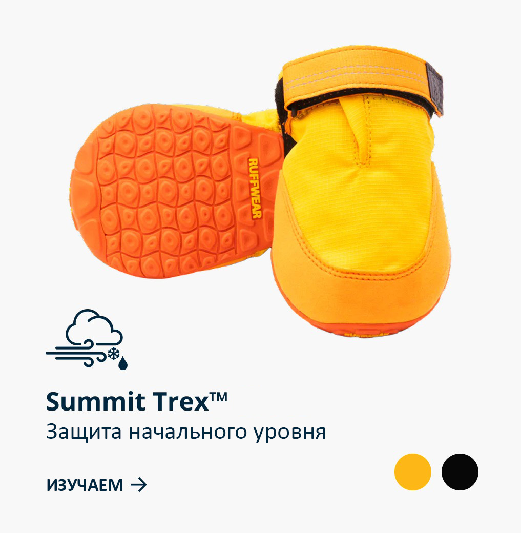 The Summit Trex in Sunrise Yellow are great for All-Season Paw Protection.