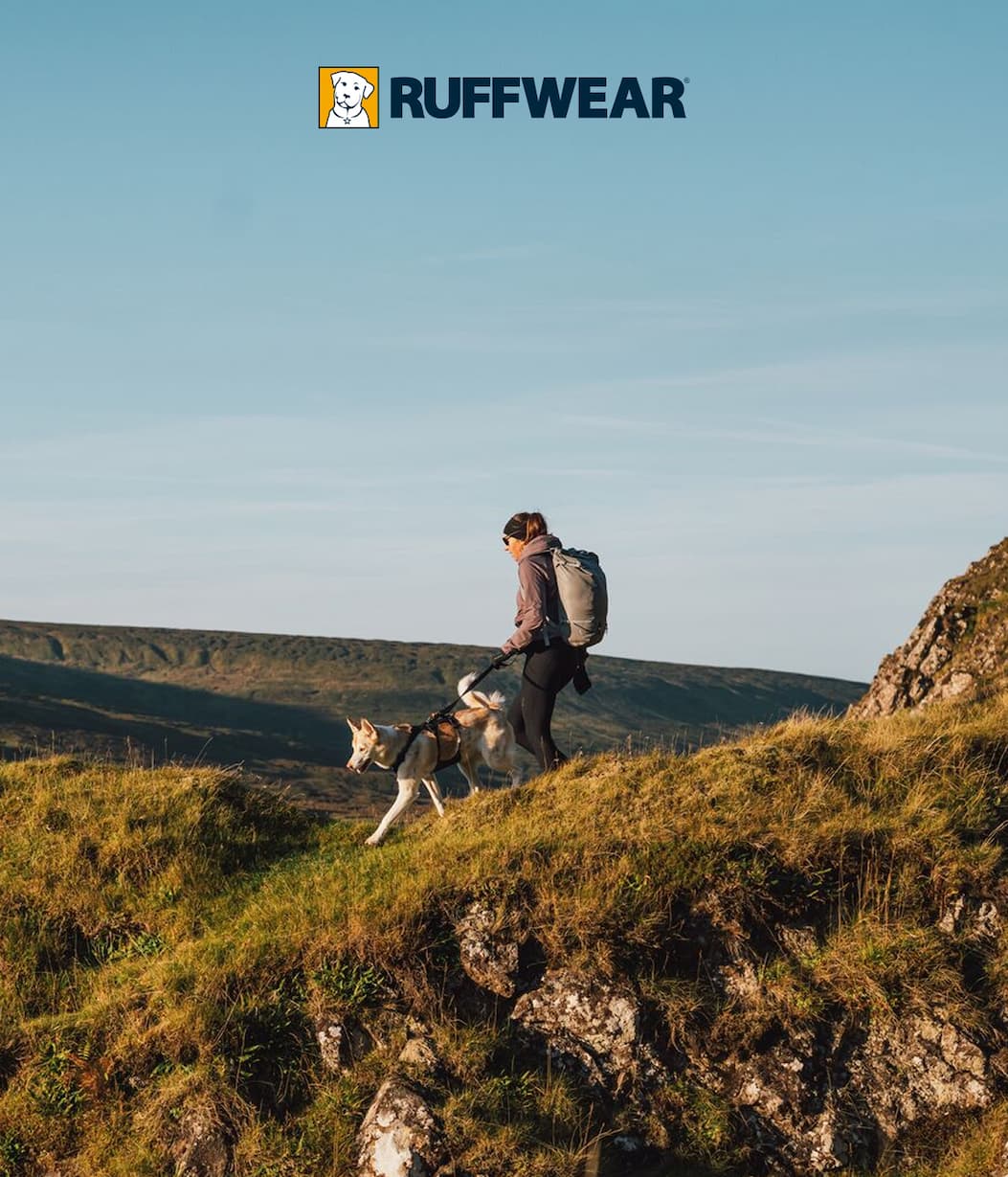 A dog and human run on the beach together. The dog is wearing a NEW Climate Changer™ Fleece Vest.