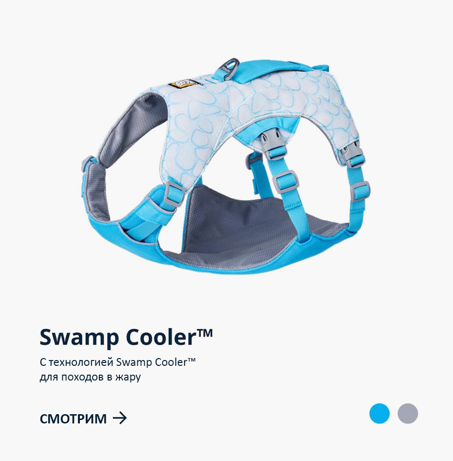 Swamp Cooler™ Dog Cooling Harness features Swamp Cooler™ technology&nbsp;for exploring in hot conditions