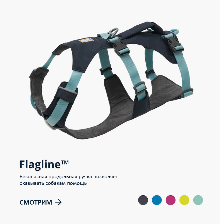 The Flagline™ Harness has a handle makes for easy lift-and-assist&nbsp;in a minimal design