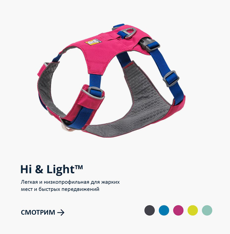 The Hi & Light harness has a lightweight, low-profile option for fast-paced pursuits