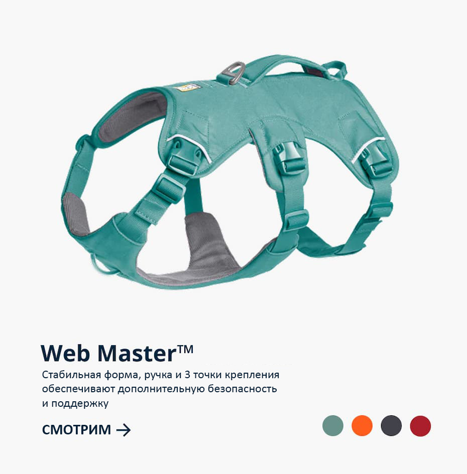The Web Master™ Harness has A handle and neck buckle offers extra security and support