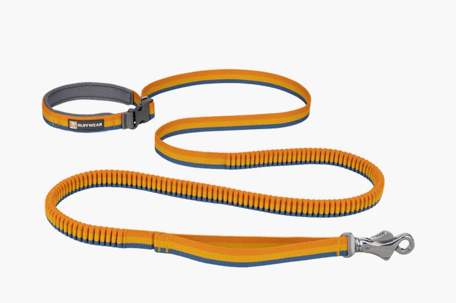 Roamer™ Bungee Dog Leash