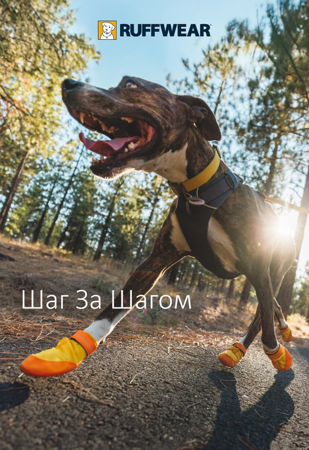 A dog prances along the sidewalk with some Summit Trex boots on. Words read One Step At A Time.