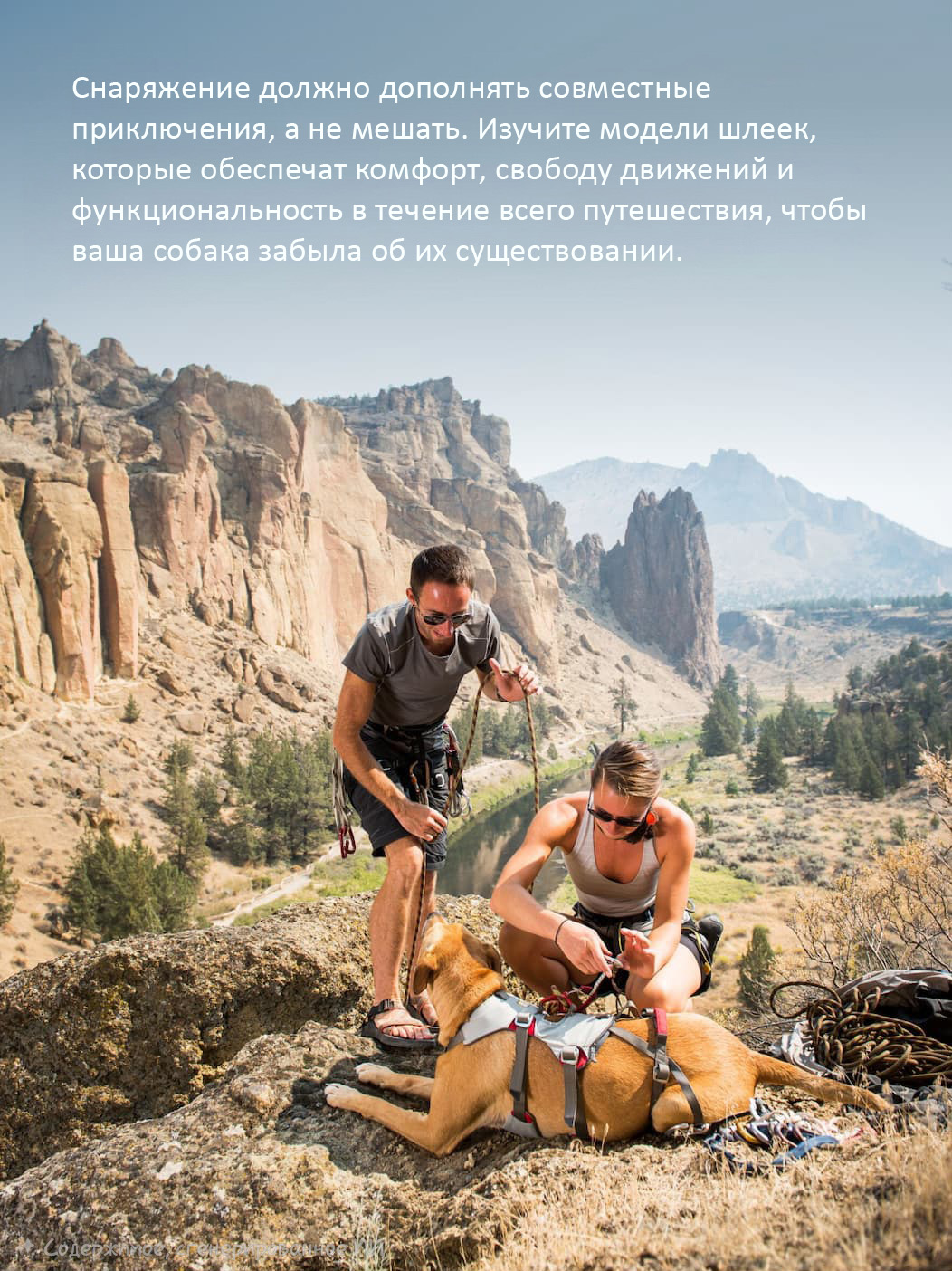 Your gear should enhance your adventures together, not get in the way. Explore harnesses that bring comfort, mobility, and performance all day so your dog forgets they’re even there.