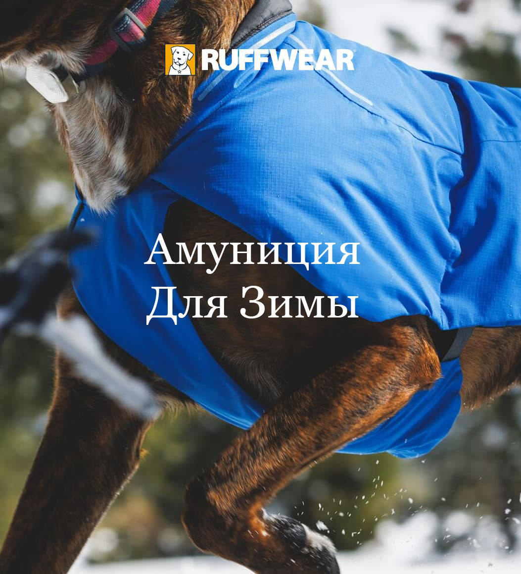 A dog runs in the snow. Words read: Gear Up For Winter