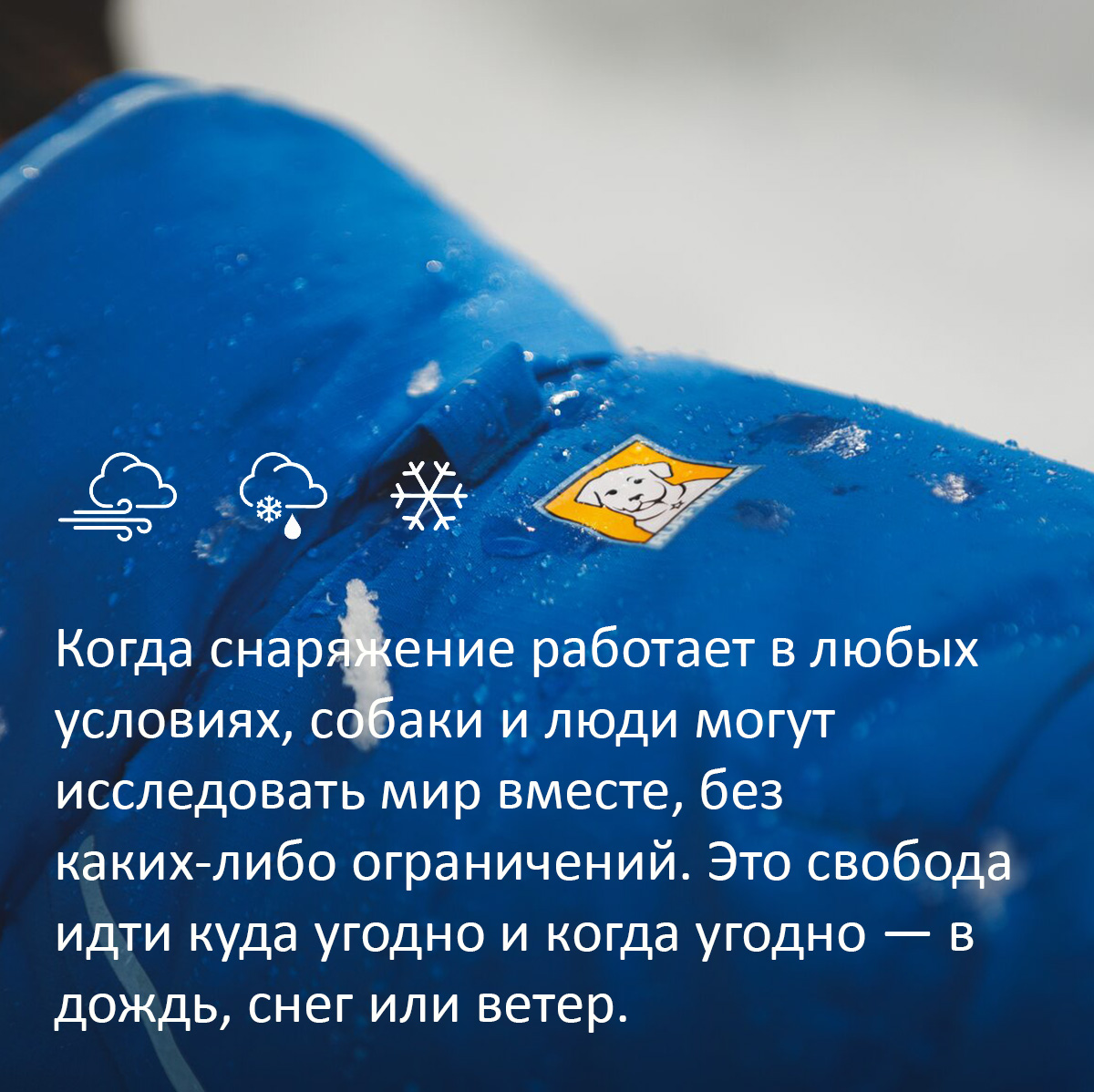 Words read: When gear performs under all conditions, dogs and humans can explore together, uninhibited.  It’s the freedom to go anywhere, anytime — rain, snow or shine.