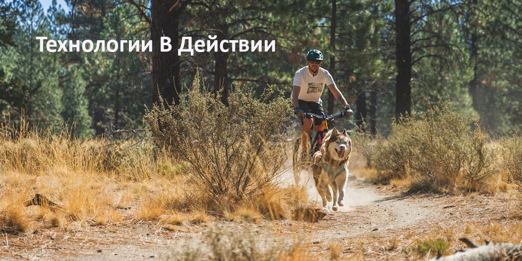 A human and dog mountain bike together.