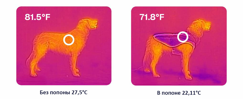 A heat map of dogs wearing the Swamp Cooler Jacket.