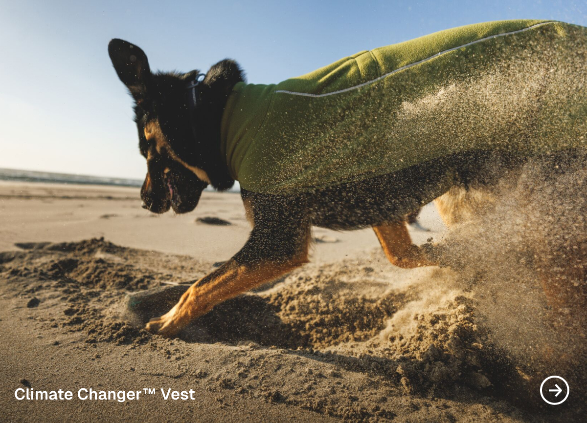 Climate Changer Vest