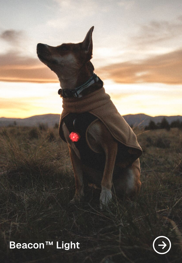 Beacon Safety Light