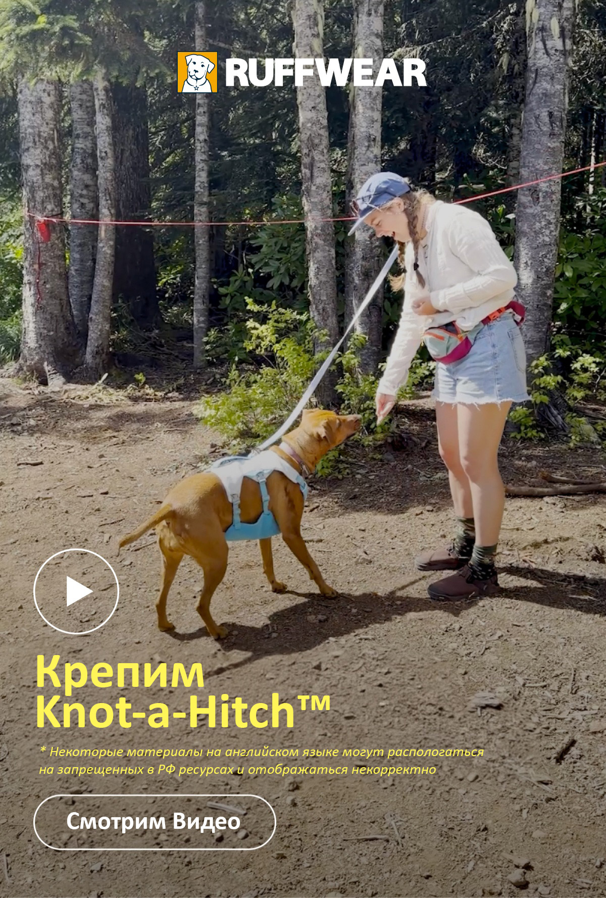 A human gives a dog a treat while on the Knot-A-Hitch. Watch how to set it up.
