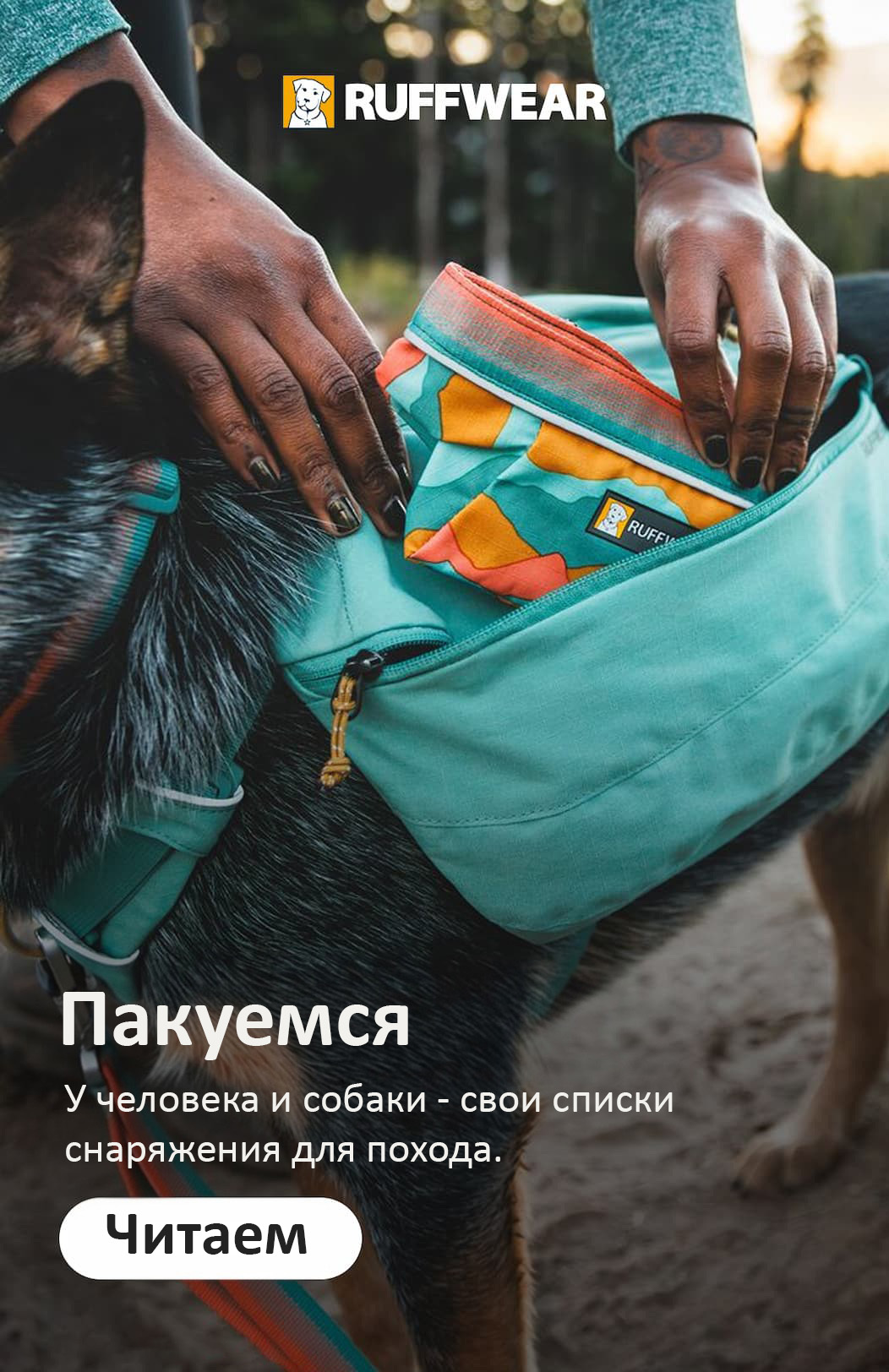 Every backpacker needs a packing plan — your pup included. Here's how to pack a pack for your next adventure.