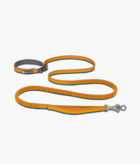 Roamer™ Bungee Dog Leash