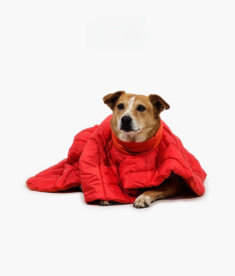 Trail Runner™ Ultralight Dog Bowl