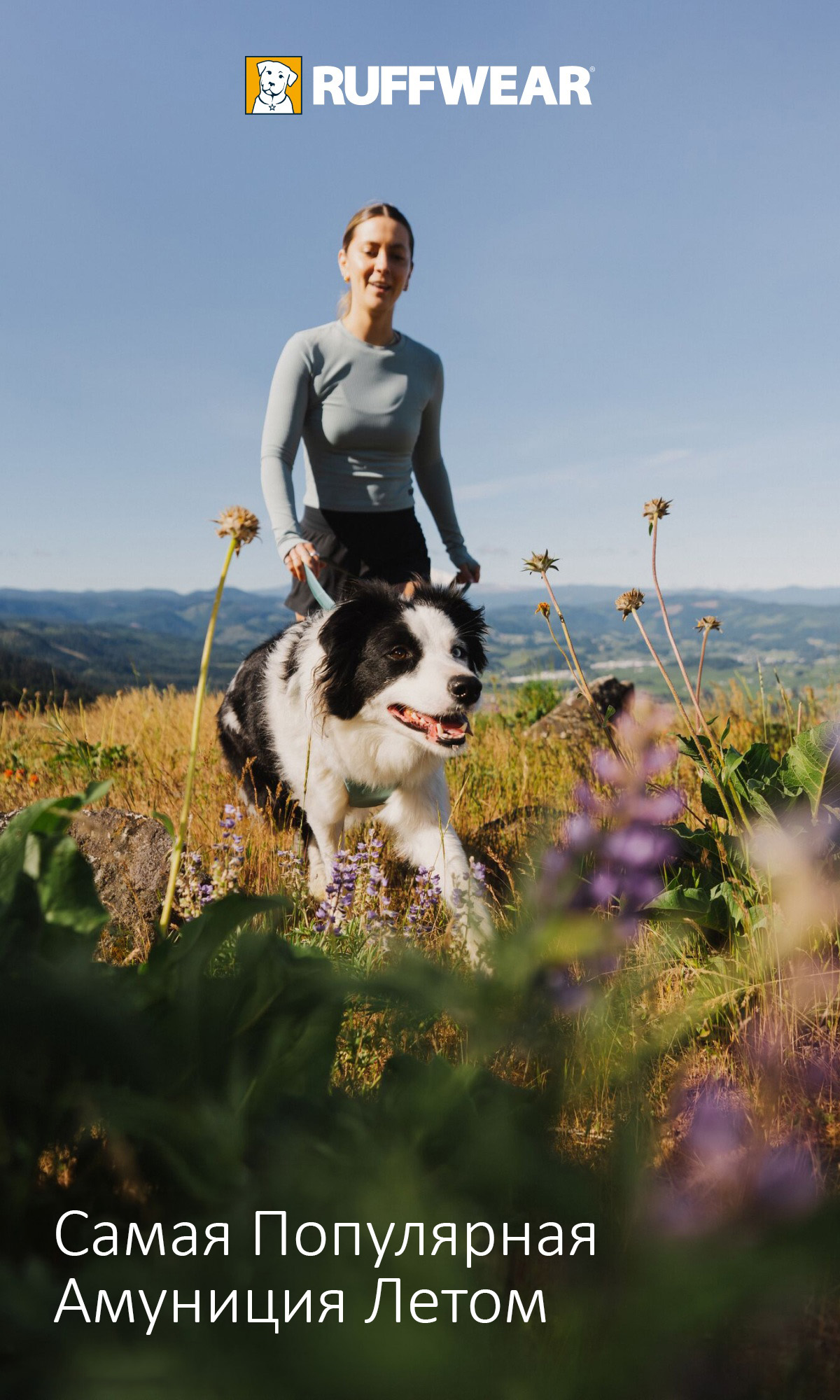 dog and human roaming mountain view flowing fields together