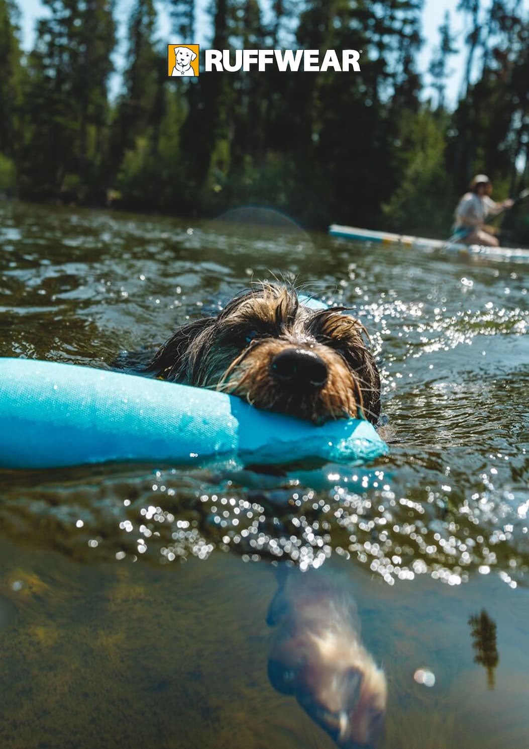 Get all you need for a summer of splashing with your dog by exploring our water collection.