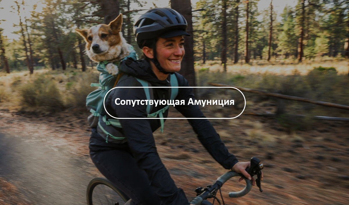 A dog sits in backpack while human carries them on a bike